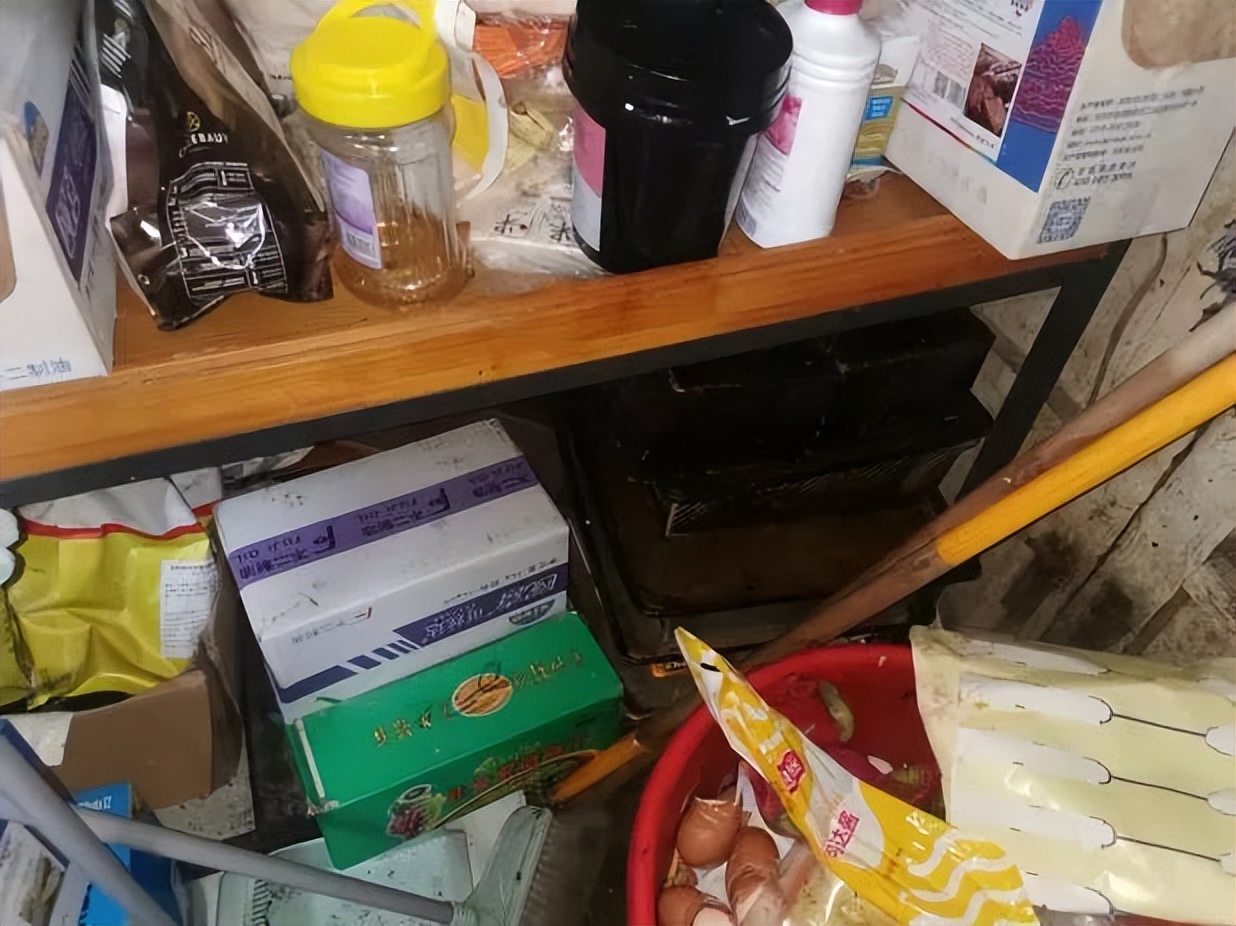 网红蛋糕店黑幕,知名网红蛋糕店被立案调查