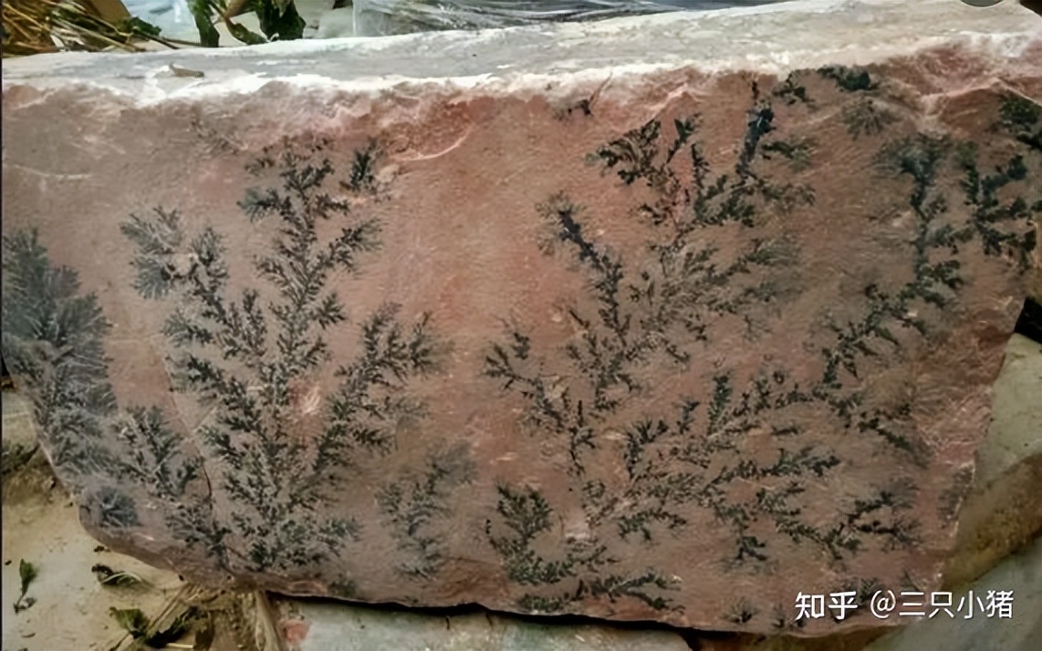 太行山奇石造景,太行山奇石精品