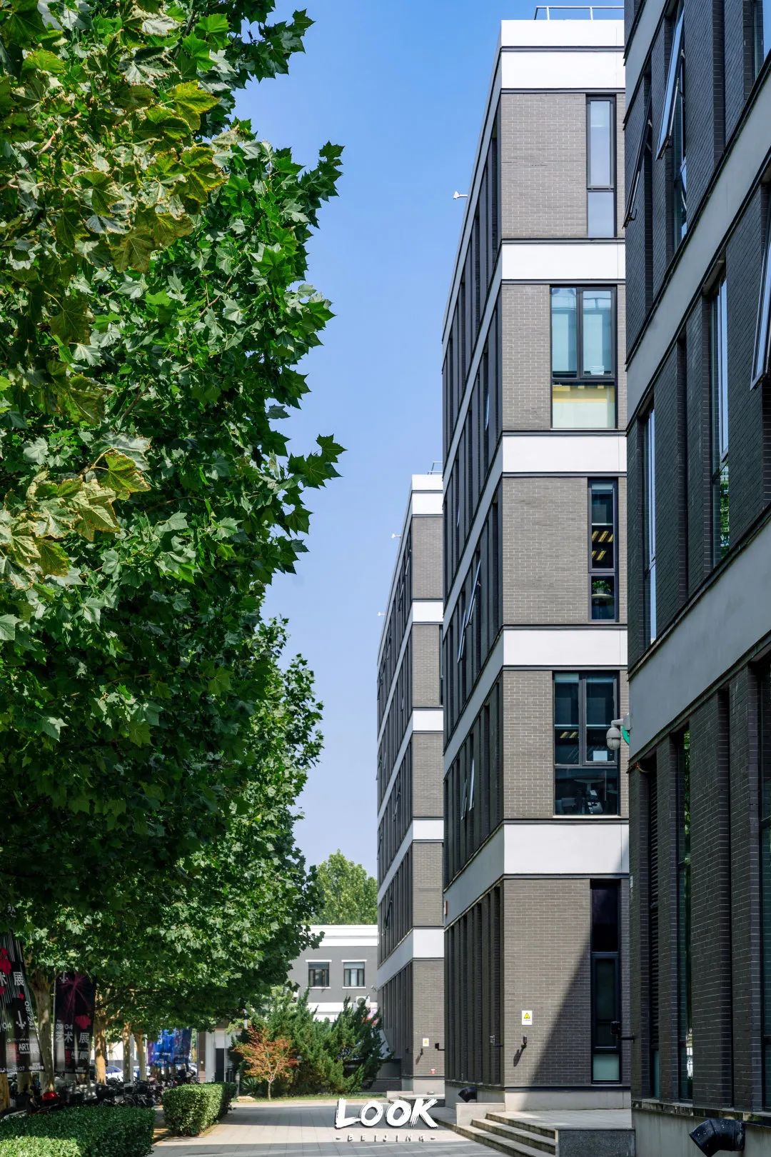 打卡500强喜爱的北京宝藏园区