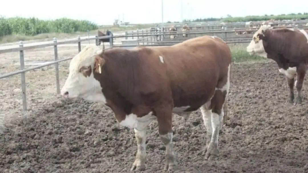 穷小子逆袭变亿万富翁后的故事,穷小子逆袭竟然成为亿万富翁