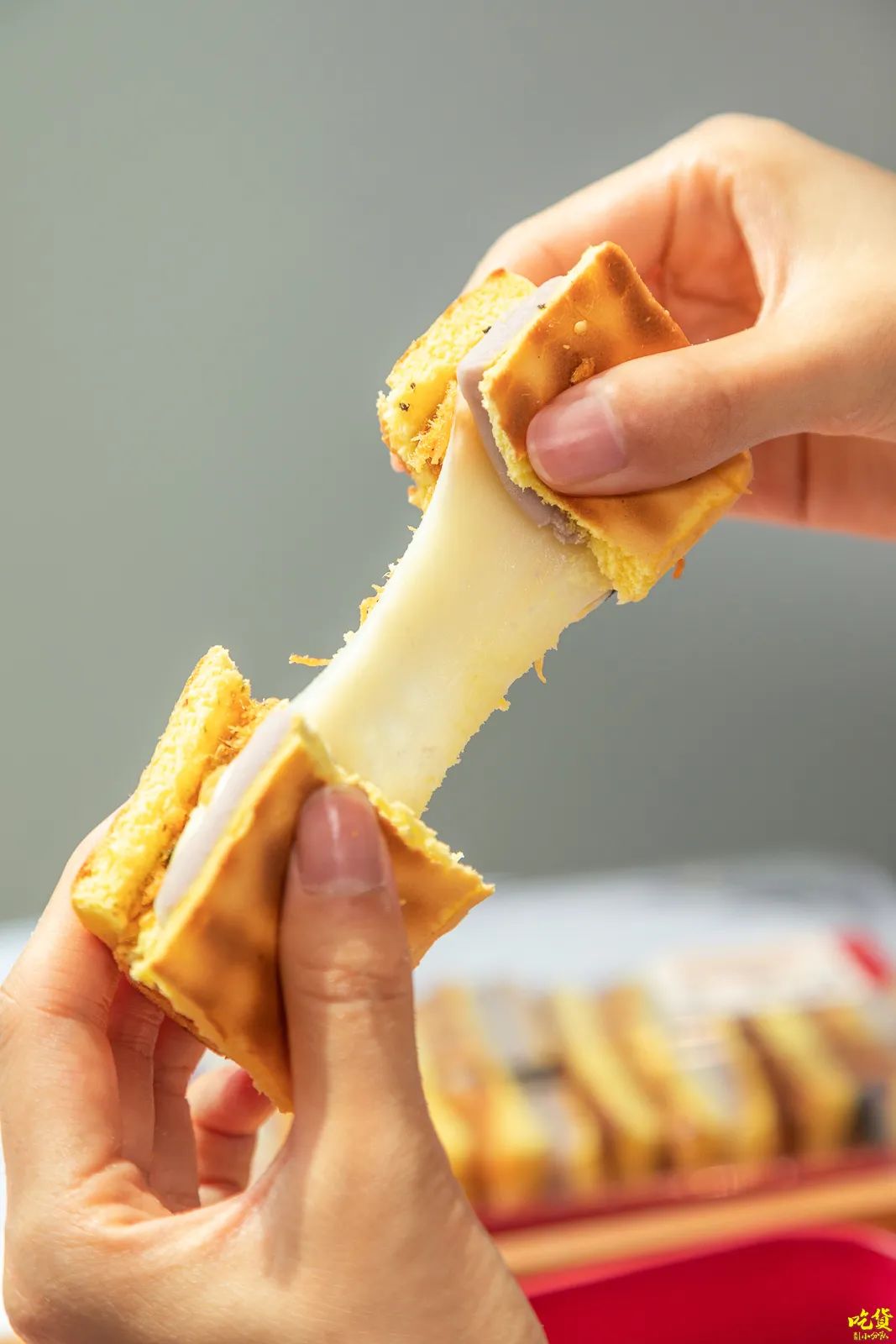 新品詹记,詹记的新品