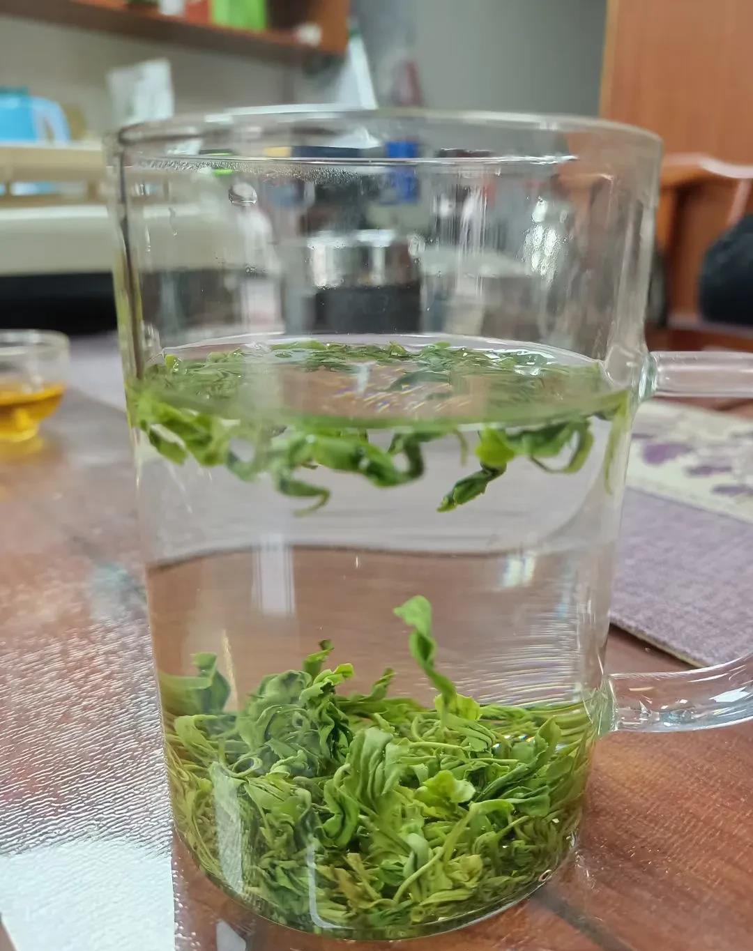 恩施玉露品尝,恩施玉露的三绿一鲜