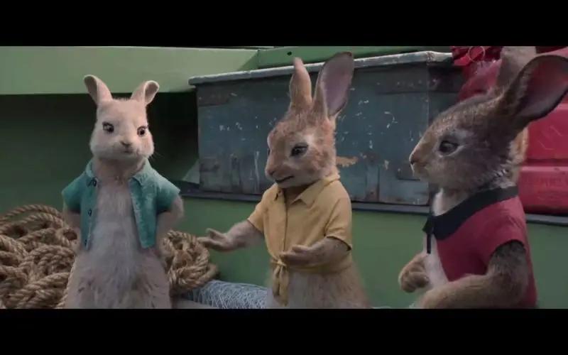 比得兔的故事书适合多大孩子看,比得兔儿童文学