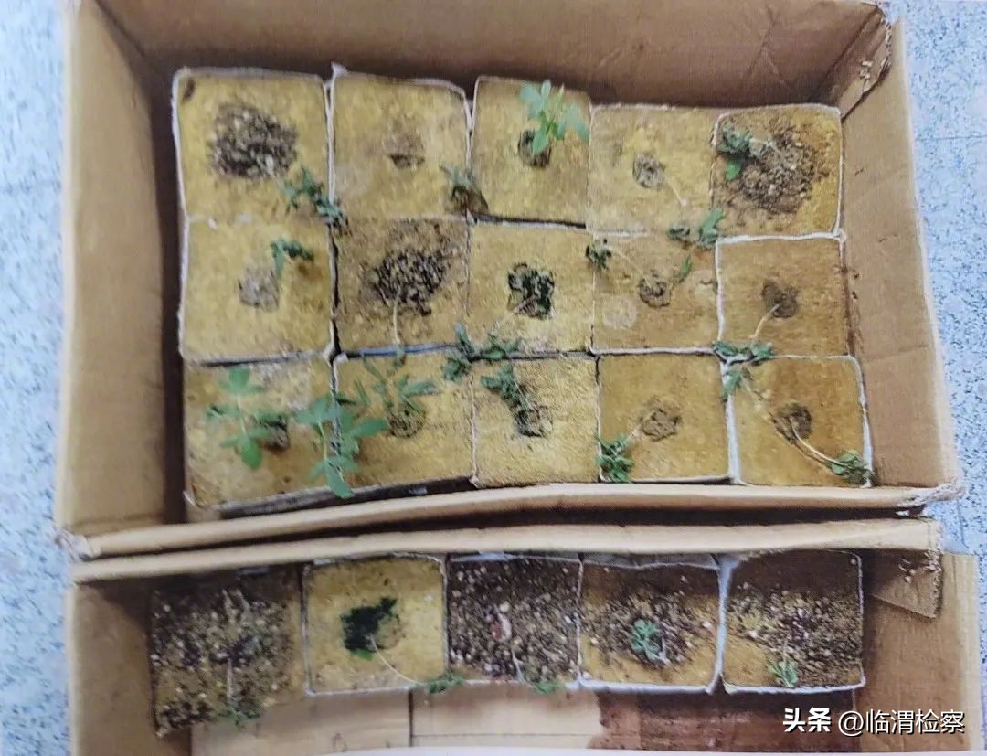 用电量猛增的暗室秘密…