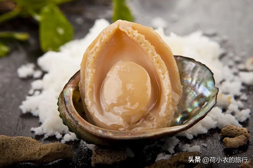 拯救打工人|1道预制菜节省你90%的时间