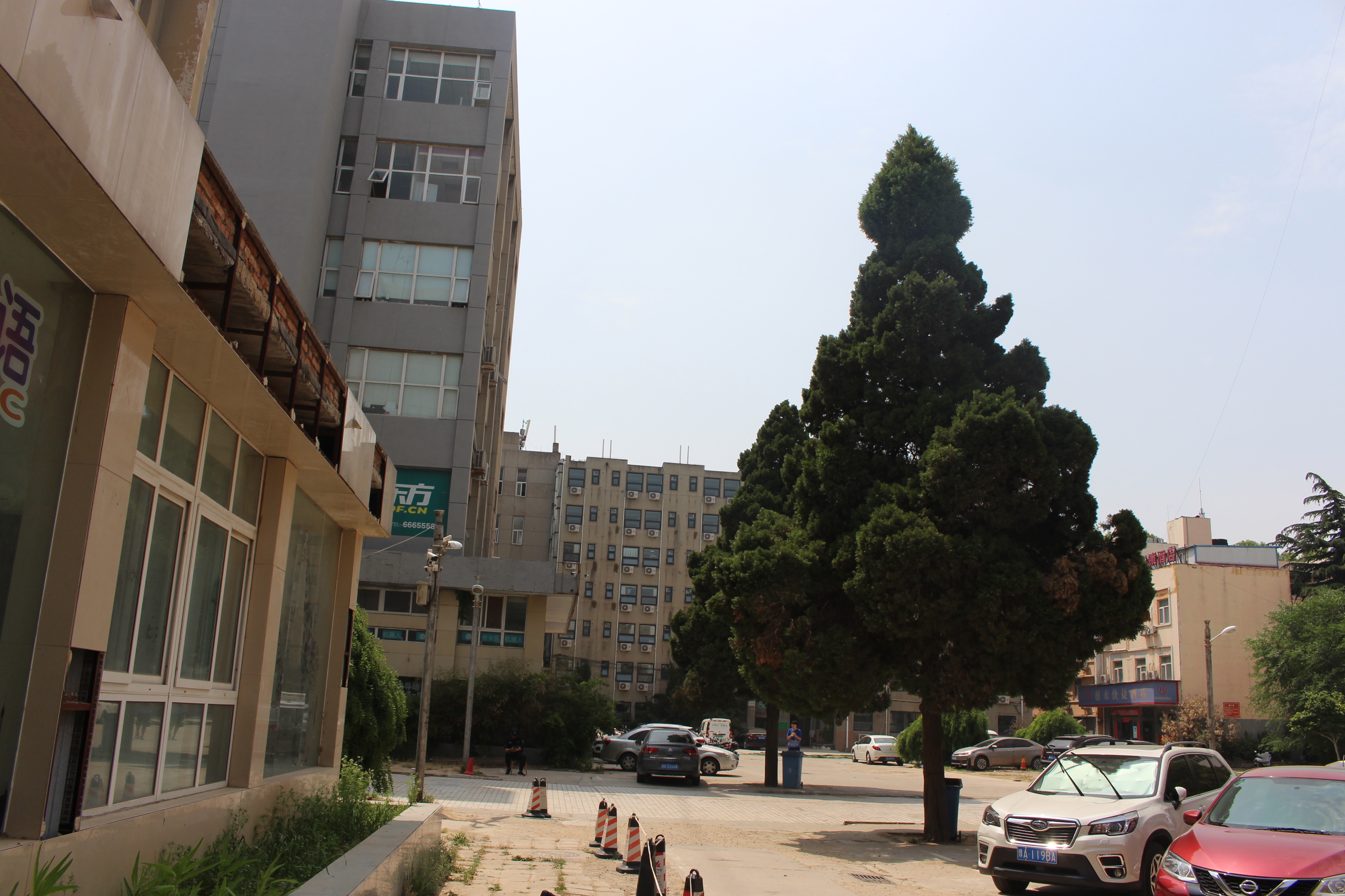 涓笀鐢熺殑鍘嗗彶鍥炲繂,涓笀鐢熷洖蹇嗗綍鍏ㄦ枃