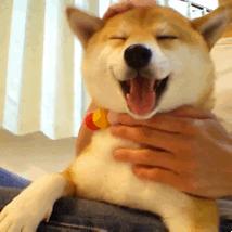 有创业项目没钱咋办,缺钱创业公司股权最佳分配方案