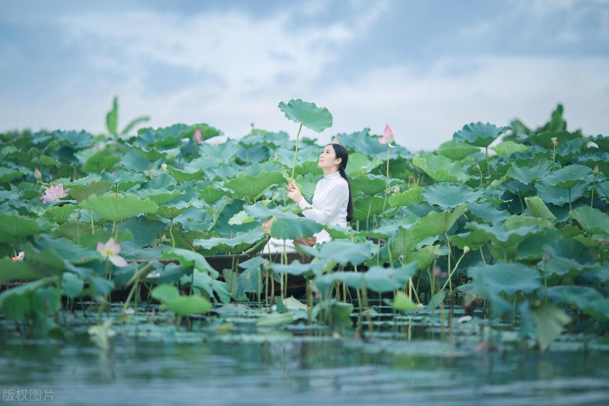 鹤山古劳水乡自由行,鹤山自由行攻略