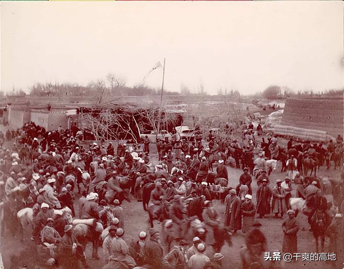 夏立君散文代表作,夏立君散文