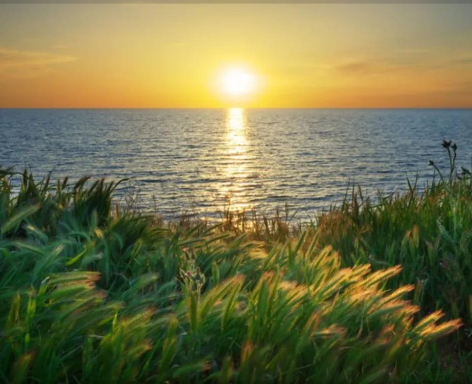 千万富豪虎哥的精彩人生,世事无常三起三落,涅槃重生1