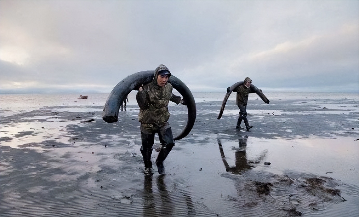 北极挖出冰冻4万年的生物,地下挖出千年老黄金