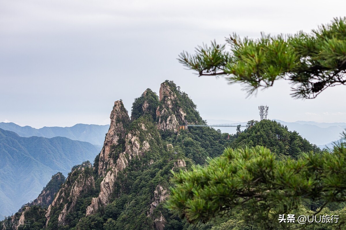 河南14个免费景区2021免费景点,最值得去的河南三个景点