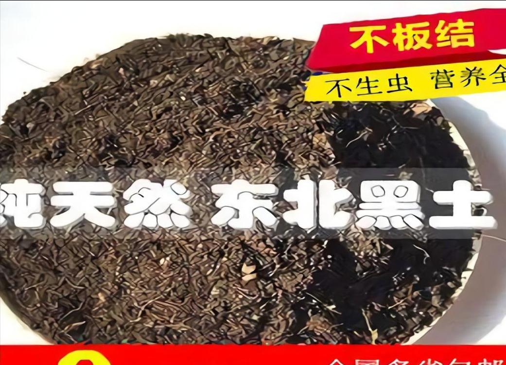 黑土为什么被称为土地中的大熊猫,野生大熊猫值钱吗