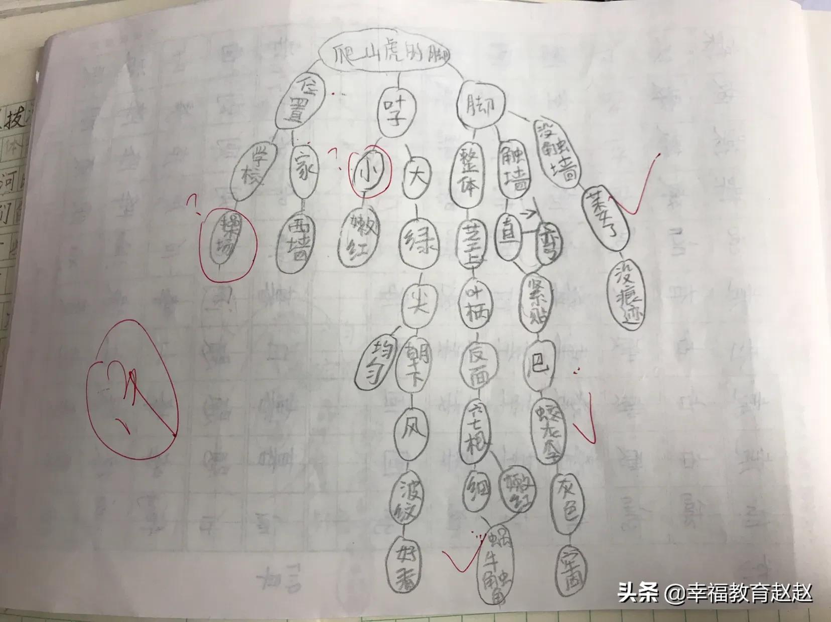 爬山虎的脚思维导图怎么画图片,爬山虎的脚思维导图绘画过程