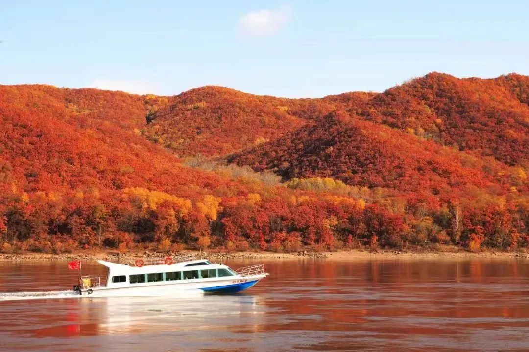 50块钱逛遍大连,50块钱逛沈阳