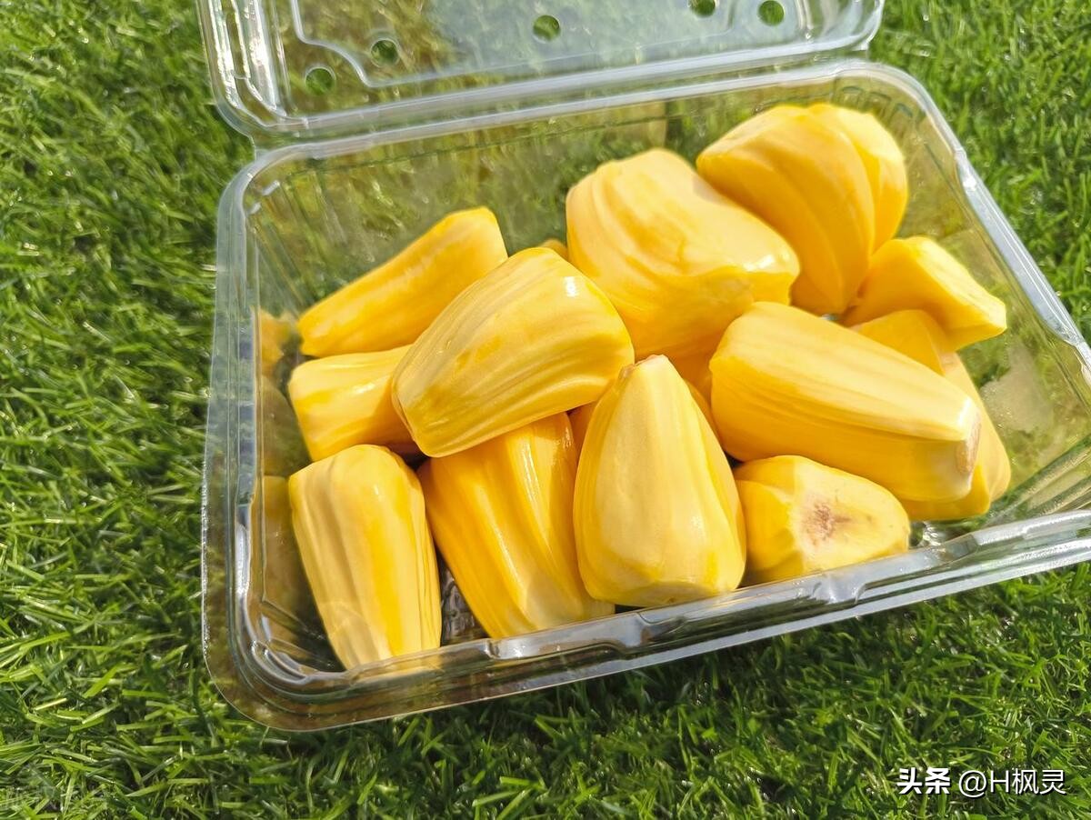 歌词里有菠萝蜜是啥歌,菠萝菠萝蜜是什么歌