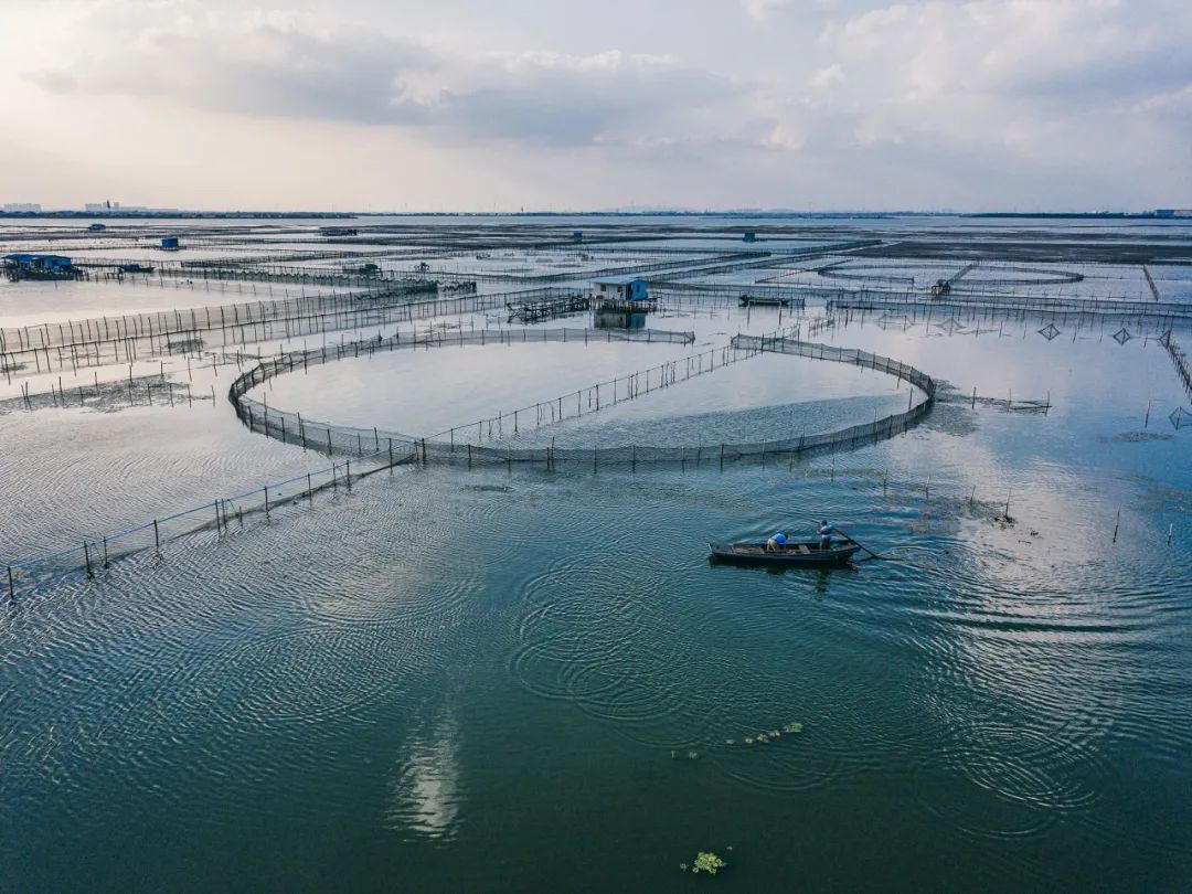 中国最厉害的县城排名,十大县城哪里最好玩