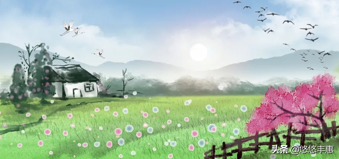 阿五角色出处,阿五简介