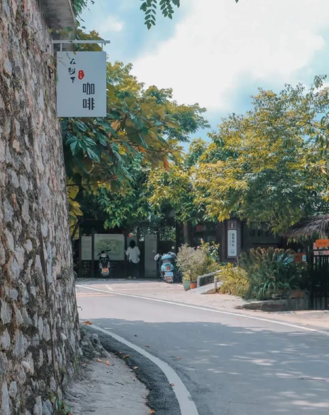 猫咪走太空步原视频最火,猫咪壁虎漫步视频