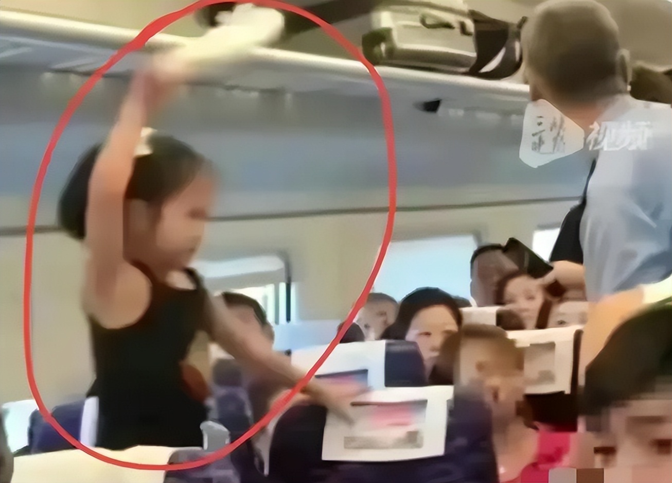 高铁母女俩打人后续报道,高铁打人母女视频