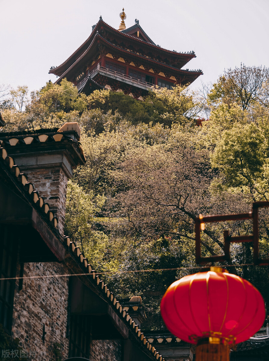 镇江养老服务排名,镇江定居养老真实感受