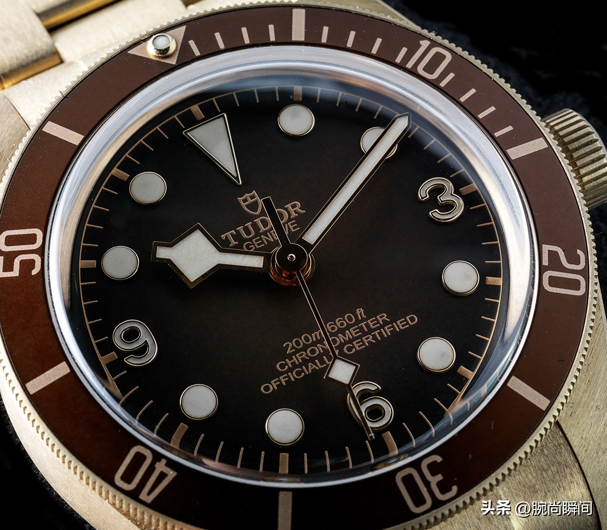 帝舵碧湾青铜型测评,帝舵碧湾54测评