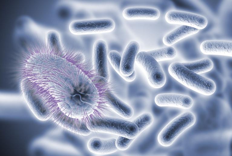 生活对女人的好处,生活对女性的好处