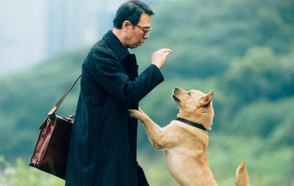 忠犬八公冯小刚到底有多感人,忠犬八公豆瓣高分