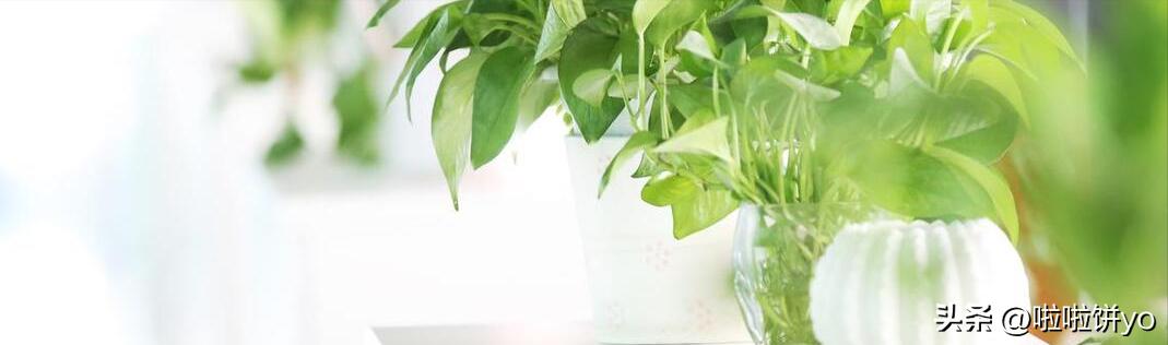 高强度用眼8小时，10个精简护眼方法