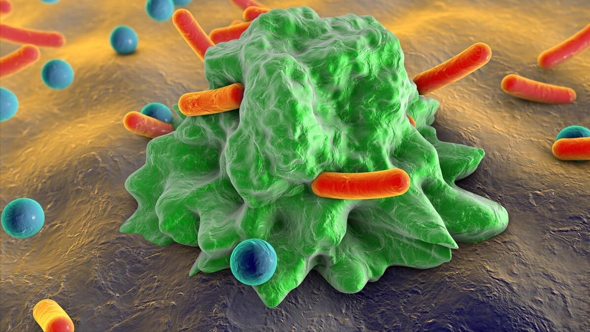 大蒜是“抗癌之王”,每周生吃2次可降低一半肺癌风险?是真是假