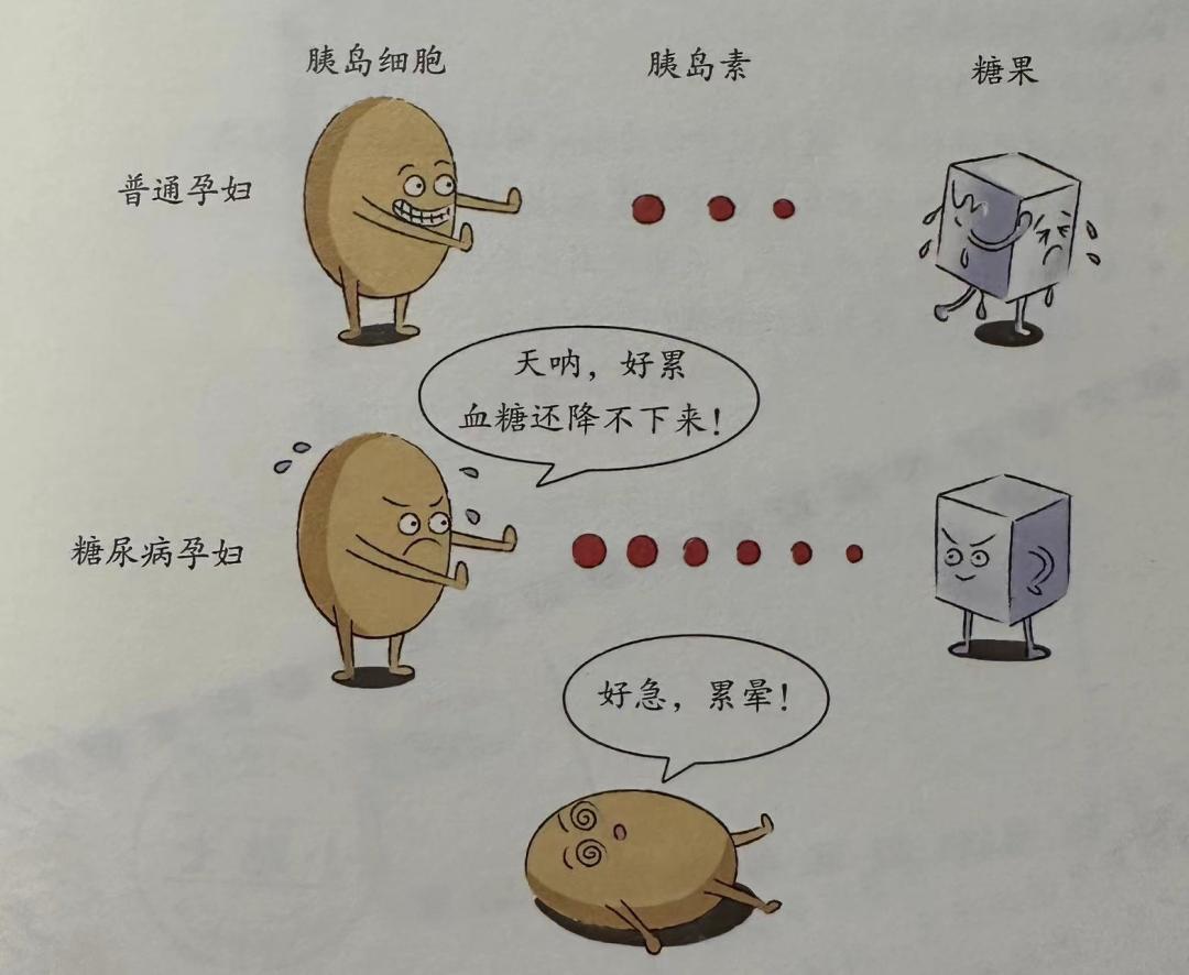 干了这杯甜到腻的红糖姜茶,干了这杯红糖水