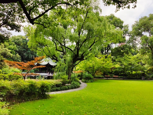 我给儿子买汽车，带孙子，最后我把房子给了女儿，在女儿家养老