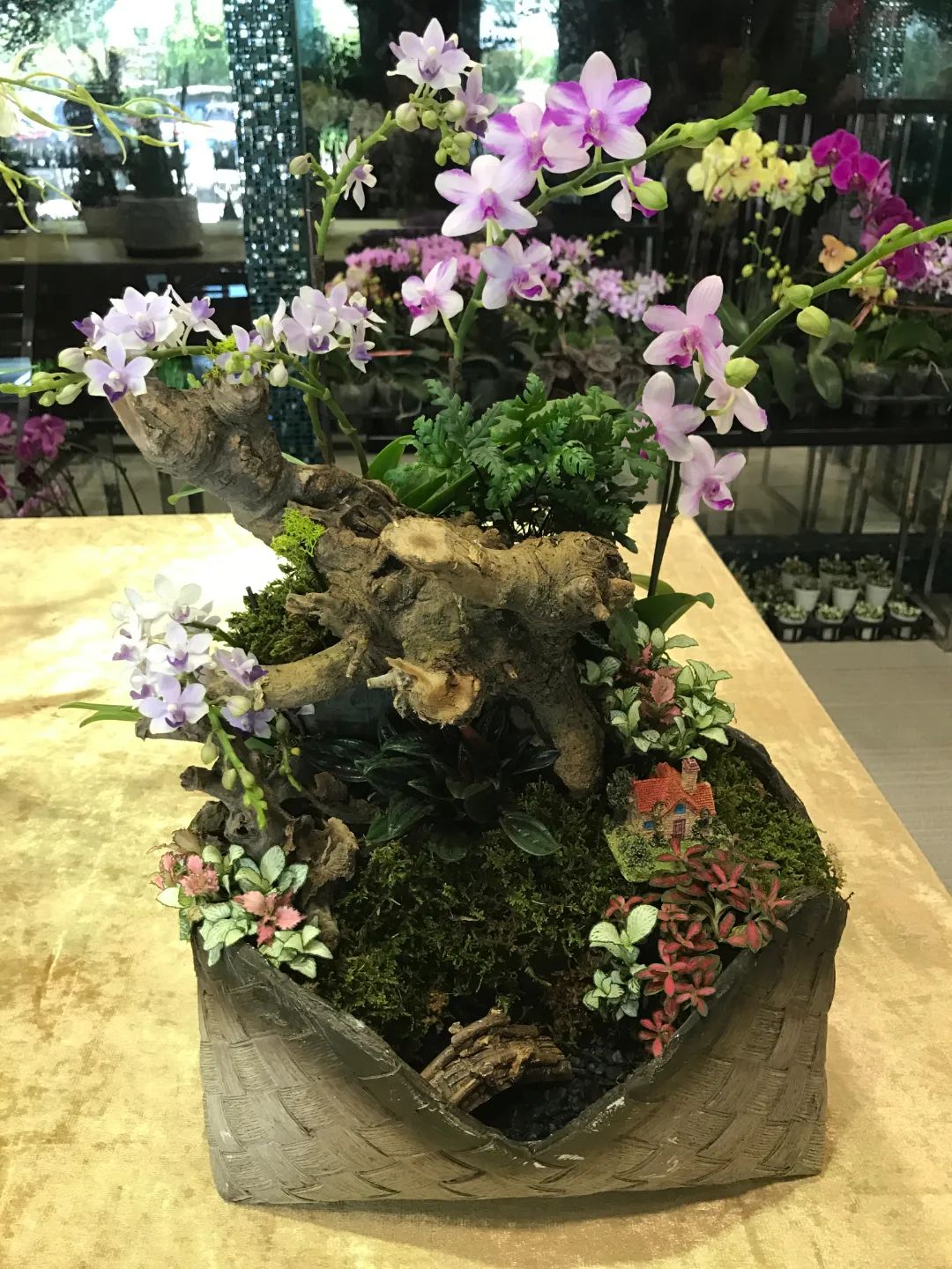 花与茶联合经营——这家500平方米的大花店,做出了一年超千万元营业额