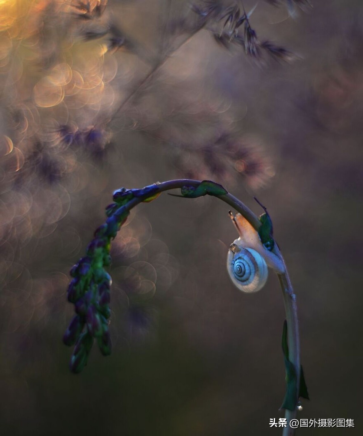 秋天最美大自然图片,春天最美的三十六张照片