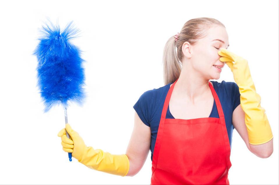 猫咪拉屎很臭怎么处理,为什么猫咪换完猫粮拉屎特别臭