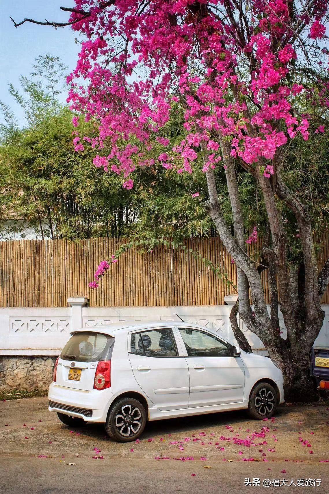1000人民币在老挝什么水平,1000元在老挝的物价
