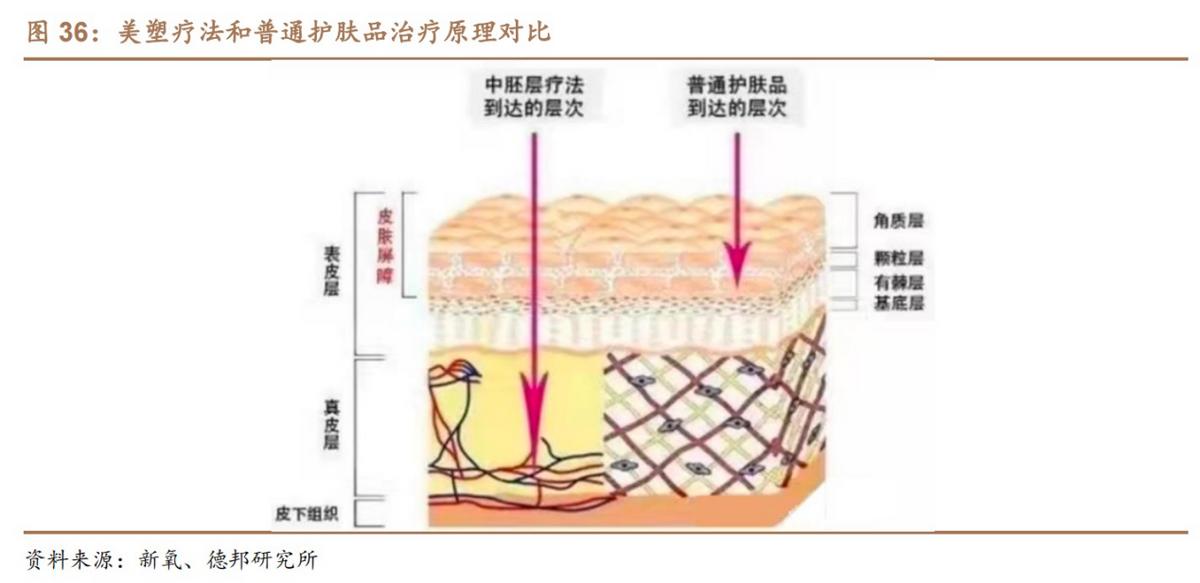 胶原蛋白与玻尿酸优缺点比较,胶原蛋白与玻尿酸区别在哪