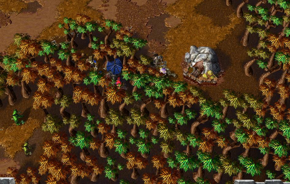 魔兽争霸3开图秘籍,魔兽争霸3流派打法