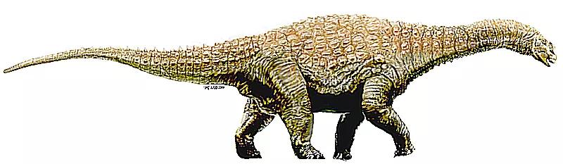 恐龙时代泰坦巨龙与雷龙,泰坦巨龙恐龙化石