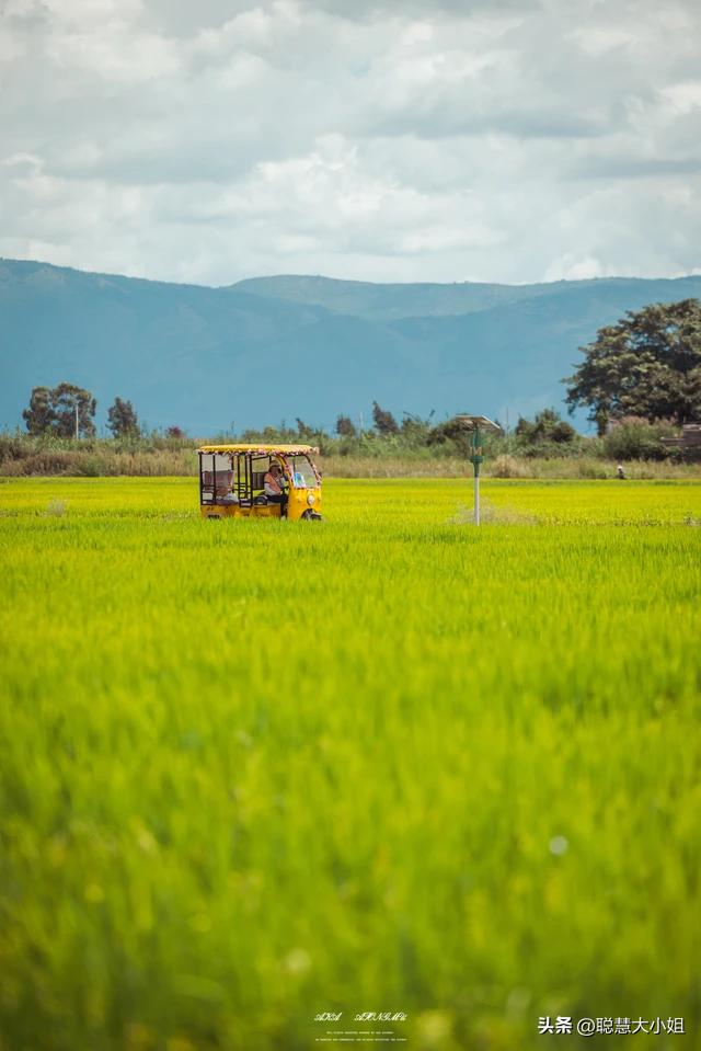 去有风的地方像个没人的地方,去有风的地方到底演的什么