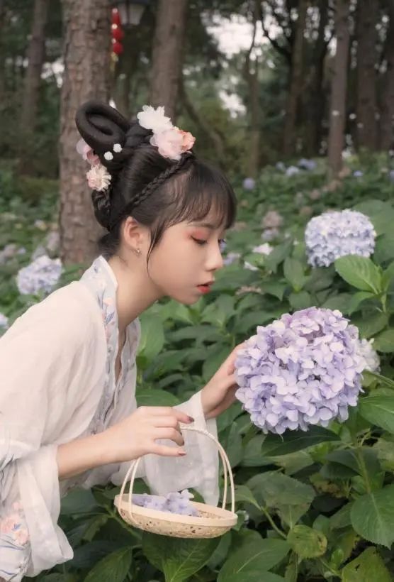 夏天专属的浪漫绣球花,绣球花是夏天的专属浪漫