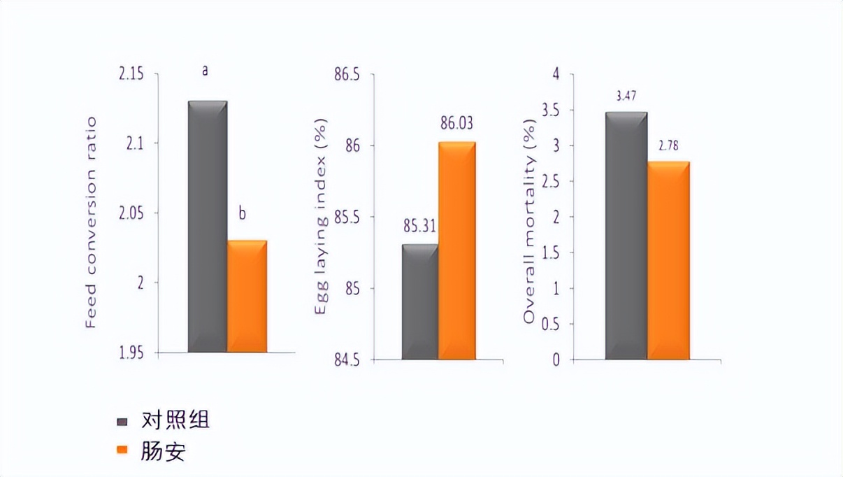 adm猪预混饲料,adm饲料添加剂