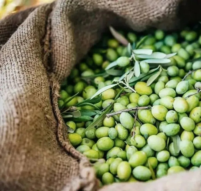 莆田古街冰糖葫芦,福建莆田最好吃的冰糖葫芦