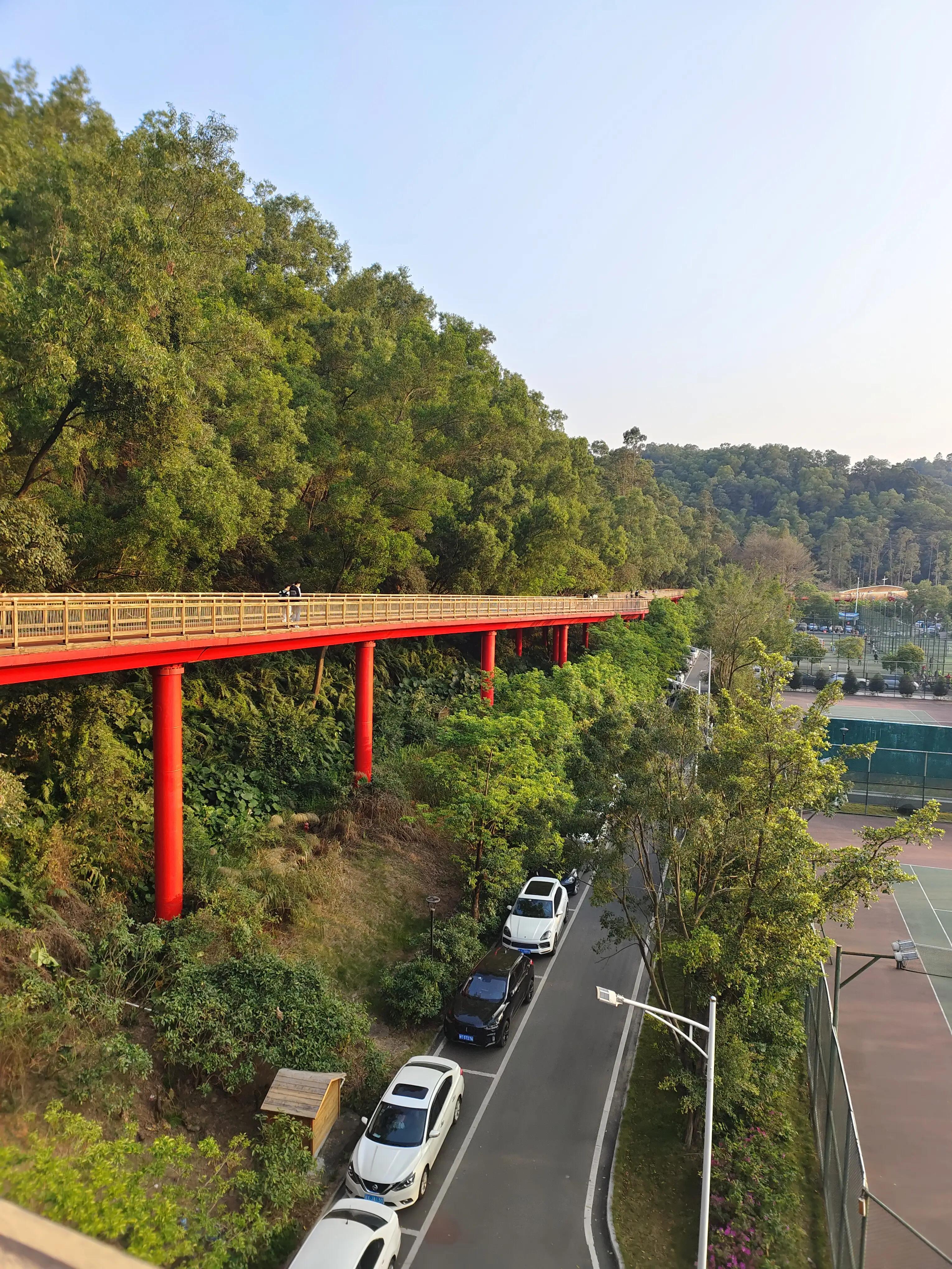 大运狂飙,兔年行大运好运常相伴
