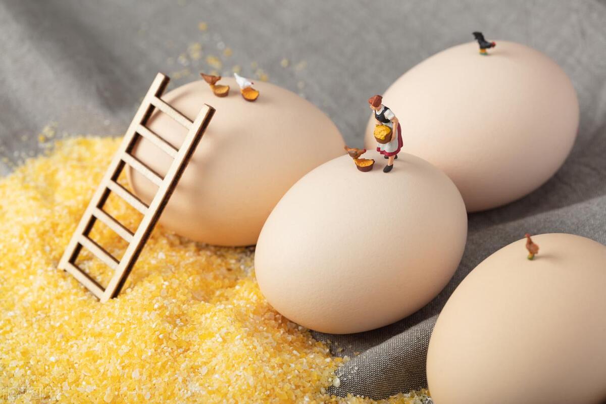 目前市场上最好的鸡蛋是哪个,鸡蛋买哪些比较放心吃