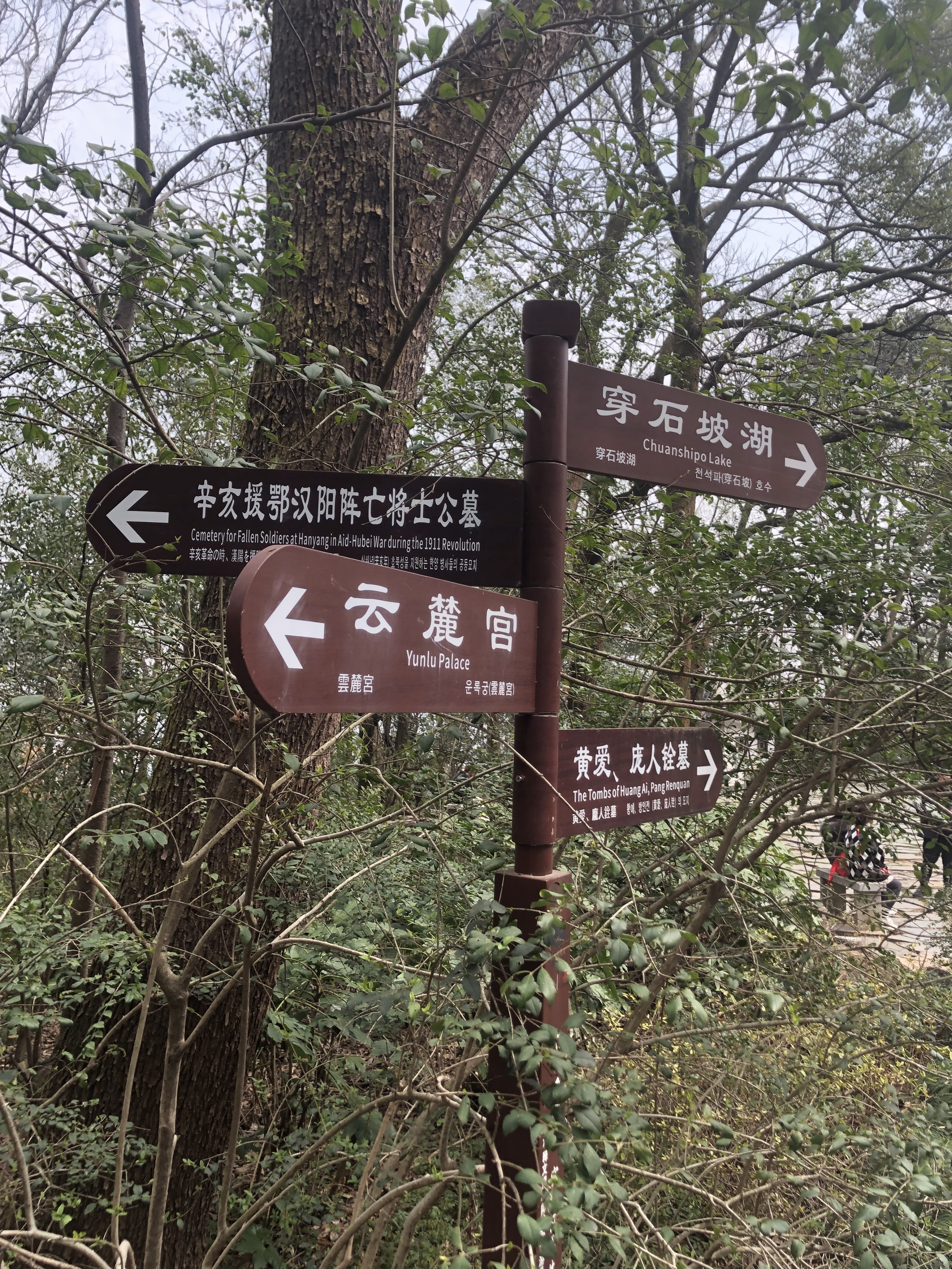 岳麓山一日游详细攻略,长沙岳麓区游乐一日游推荐