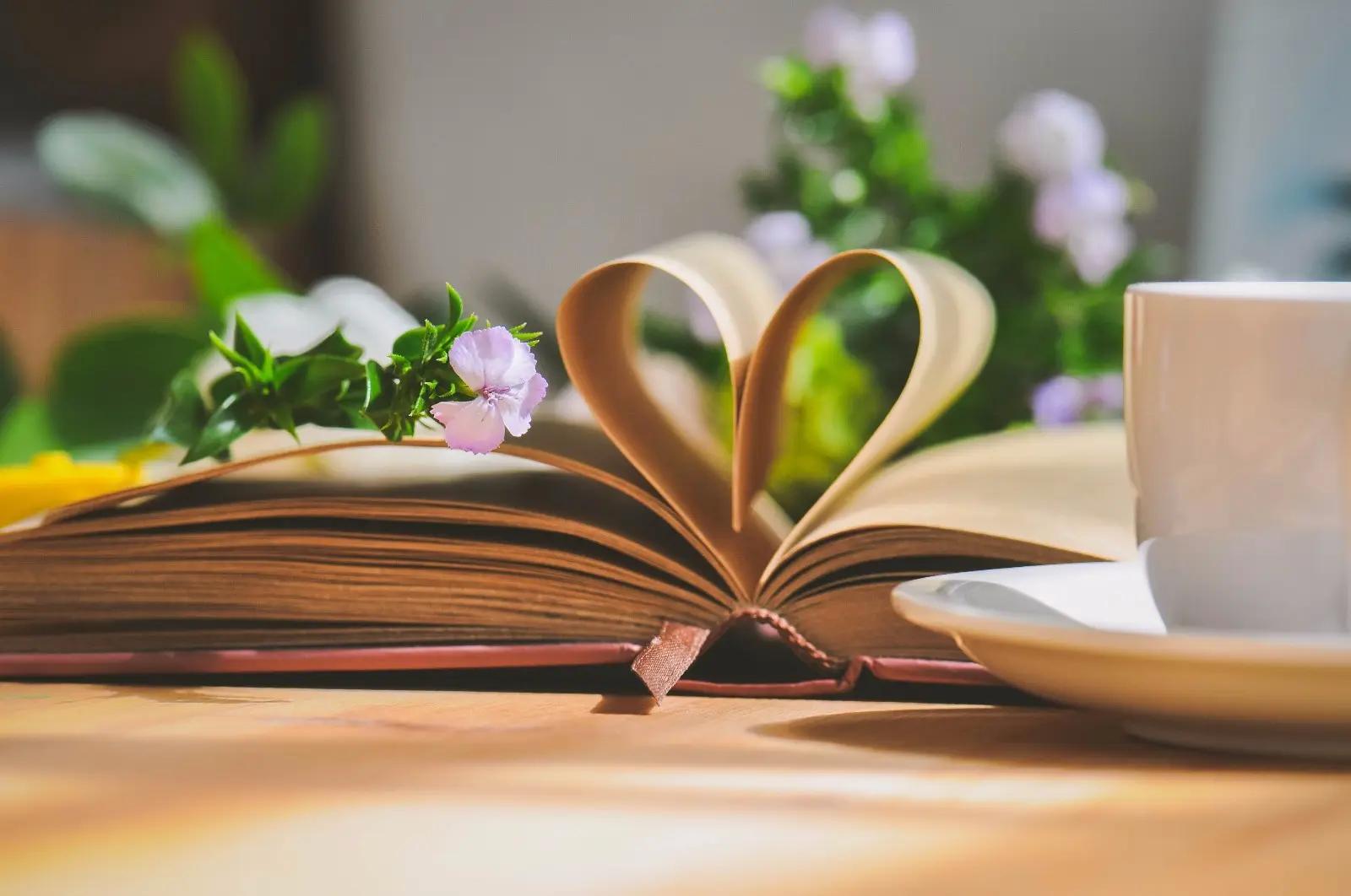 大学生面对就业困难应该怎么办,大学生针对就业困难应当如何做