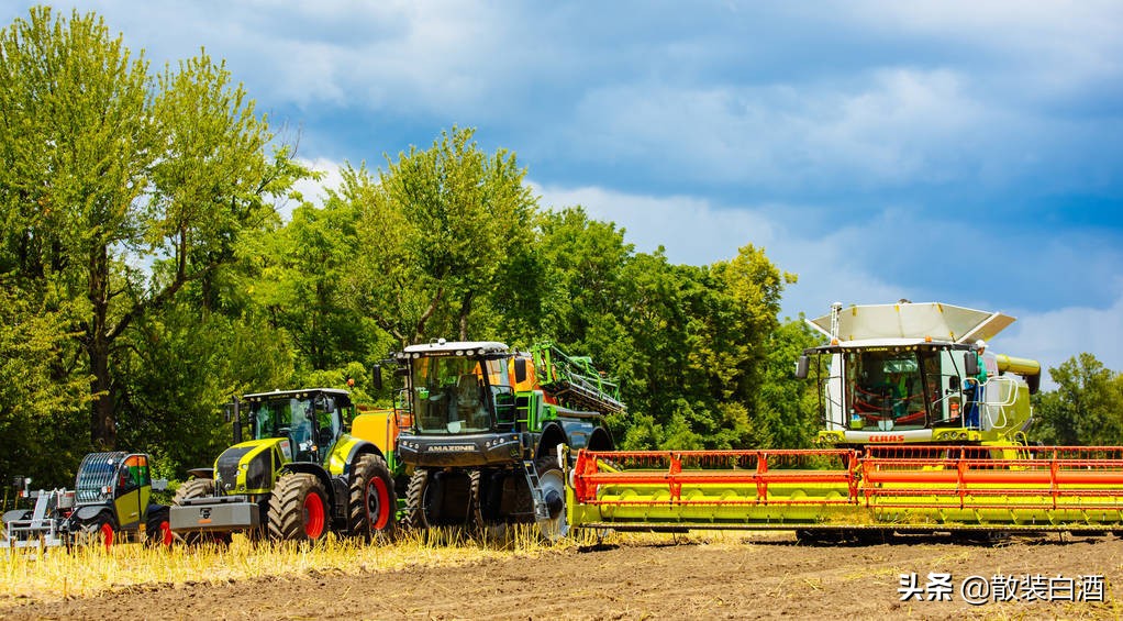 跳梁小丑还是众望所归？泽连斯基：从喜剧演员到乌克兰总统