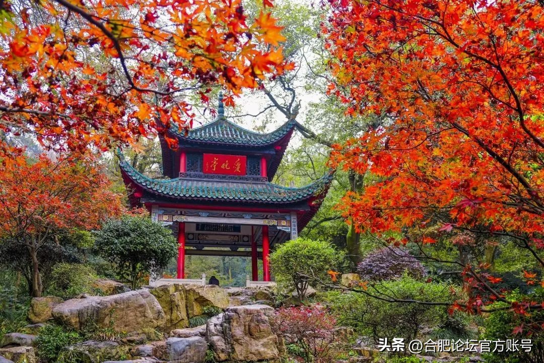 合肥6月特价机票,合肥出发全国旅游团购