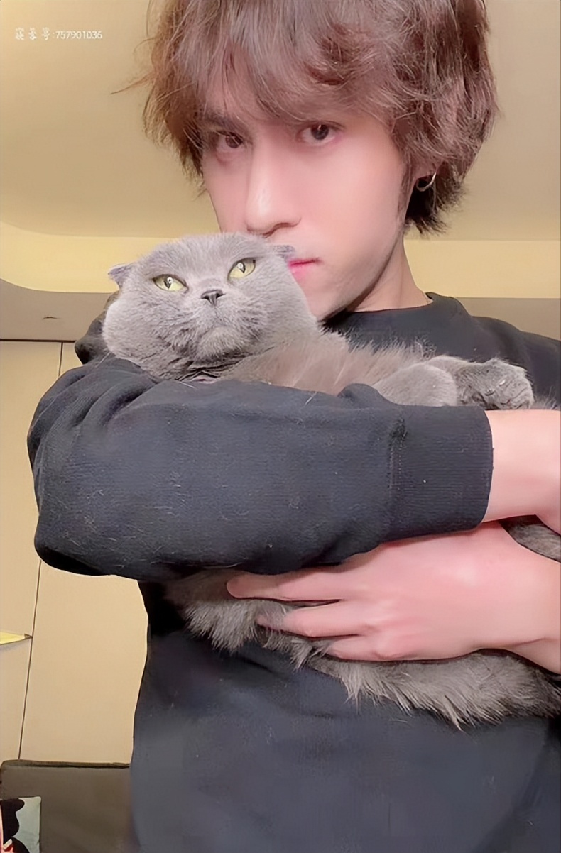 映客直播年度盛典,映客盛典直播视频